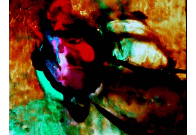Brakhage1
