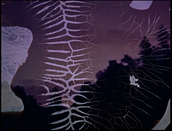 Brakhage3
