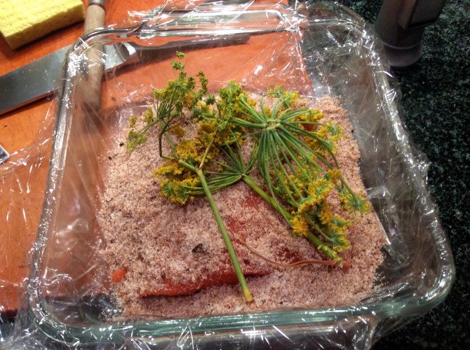 Gravlax Before
