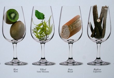 Wine aromas graphic courtesy of Cote d'Or Imports
