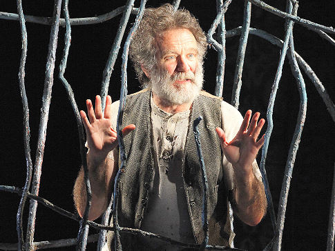 Theater Review Bengal Tiger at the Baghdad Zoo