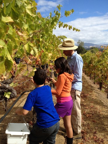 Caption: Cari, August, Royal, and Lloyd Borja at Carneros Pino grape pick. 2012