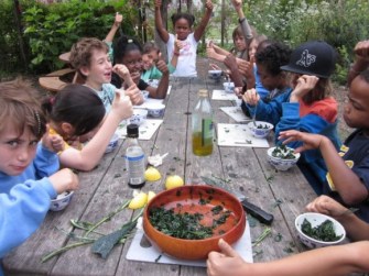 The Edible Schoolyard