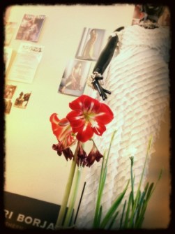 Amaryllis and "Wings of the Dove" gown for Snow Collection. Photo by Cari Borja.