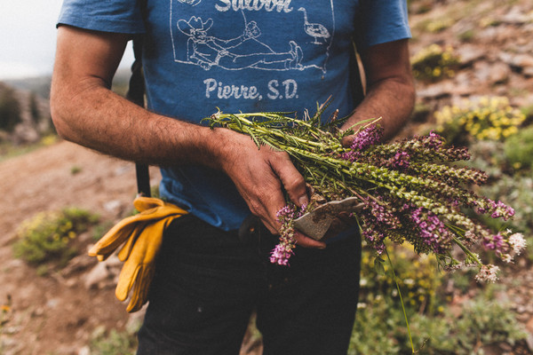 Hall Newbegin, Sierra Granite harvest, August 2014. Credit: Juniper Ridge.