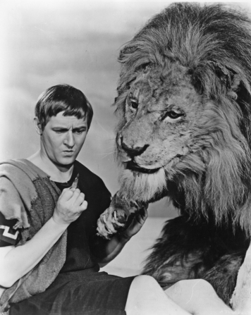 Caption: “Hmm, what do you make of the script?”: Alan Young and a furry friend in Androcles and the Lion.