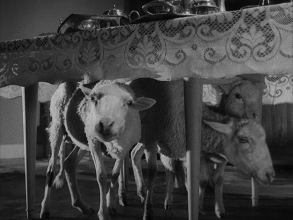 ExterminatingAngelSheep