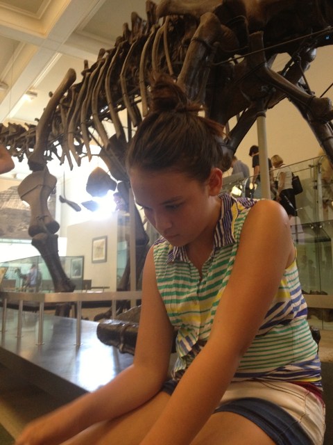 Royal in the Natural Museum of History, 2013.