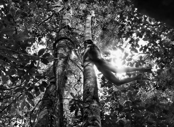 Photo by Sebastião Salgado. Credit: Courtesy of © Sebastião Salgado/Amazonas Images/Sony Pictures Classics.