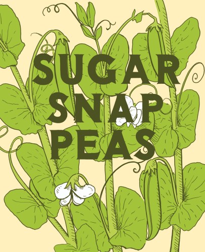 SugarSnapPeas