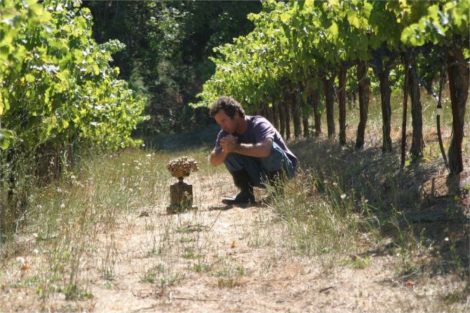 Jeffrey Weissman in Corked.