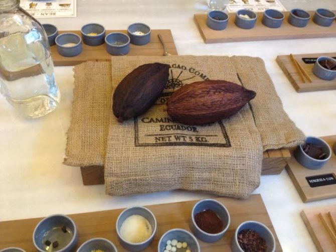 Credit: Photo by Risa Nye.