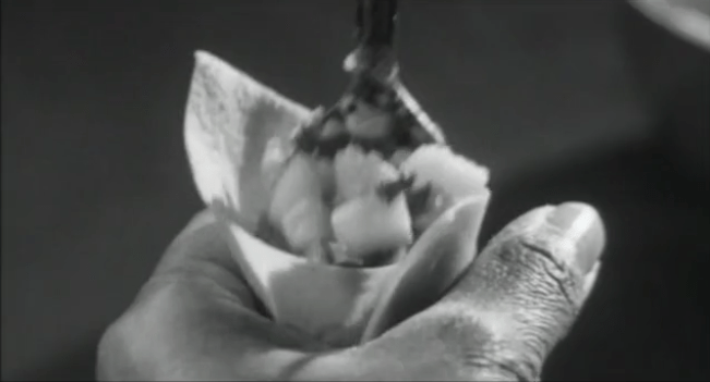 Screen Shot 2015-06-17 at 4.23.17 PM