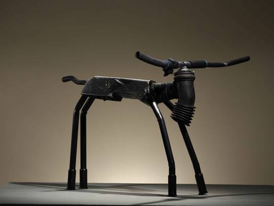 Jerry Ross Barrish, Baby Longhorn,