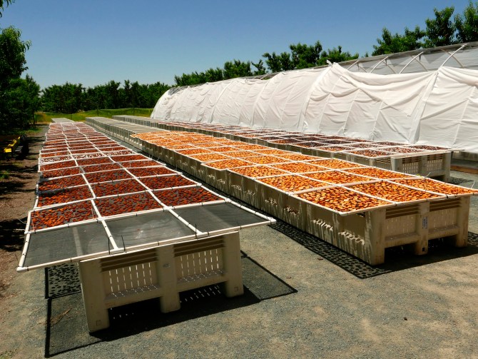 Credit: Bay Area Green Tours