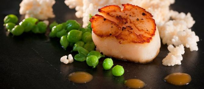 943339_10151476437813564_1837761482_n