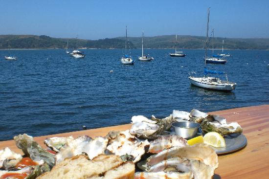 oysters-with-a-view