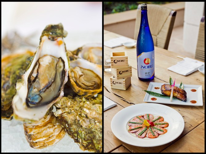 oysters and sake.jpg