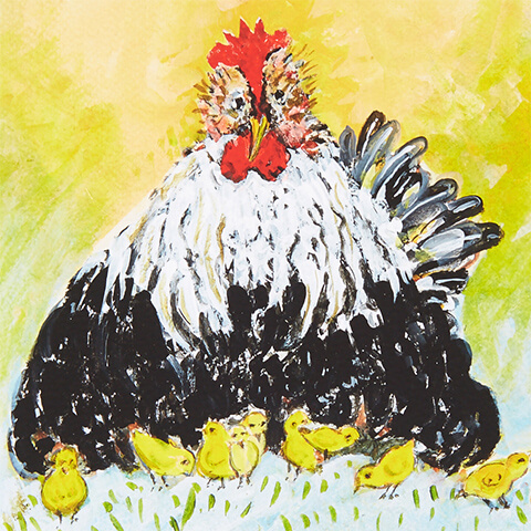 Pepin Black-Mother-Hen-Feature.jpg