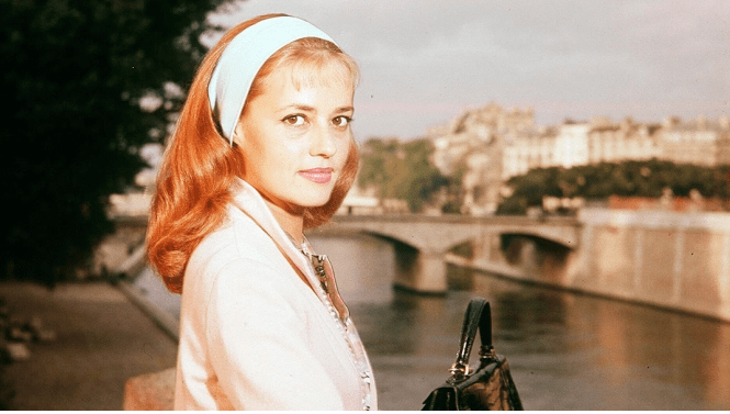 FLORA BLOT-SHUTTERSTOCK.png