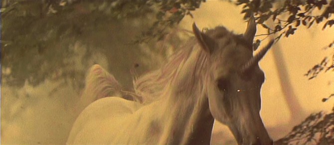 unicorn-in-deckards-dream.jpg