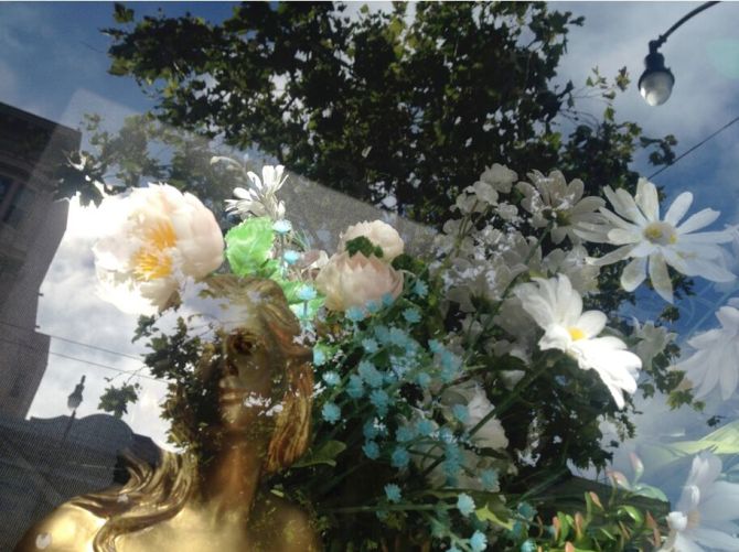 Dreamer Still_preview.jpg