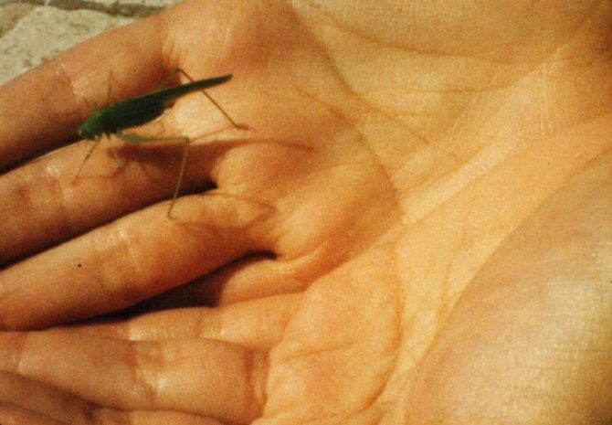 Still 1_preview-2.jpg