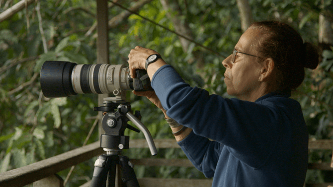 Andrea Turkalo - American field biologist_preview.png