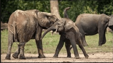 Screen Shot 2018-06-09 at 2.29.55 AM