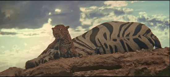 Screen Shot 2019-04-28 at 1.46.04 AM.png