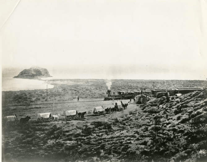 Screen Shot 2019-05-01 at 12.07.30 AM.png