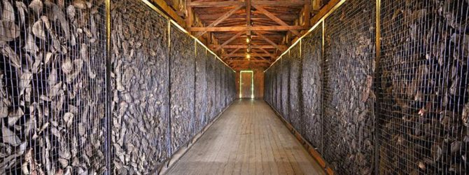 shoes-majdanek.jpg