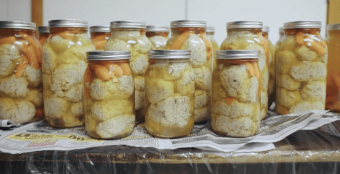 Screen Shot 2019-07-20 at 8.00.19 PM.png