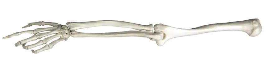 Screen Shot 2019-09-30 at 3.29.03 PM.png