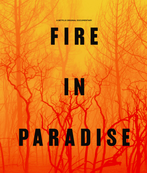 Screen Shot 2019-11-09 at 1.12.26 AM.png