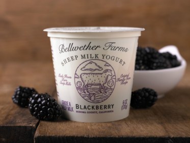 1 blackberry-1024x769.jpg