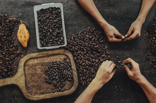 Screen Shot 2020-03-03 at 4.10.47 PM.png