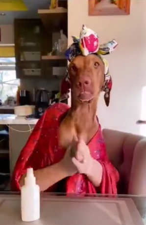 Screen Shot 2020-04-22 at 1.35.18 PM.png