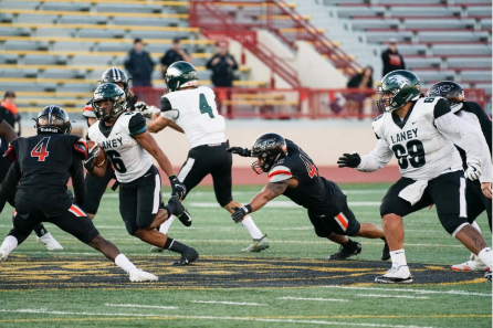 Screen Shot 2020-08-01 at 5.18.27 PM.png